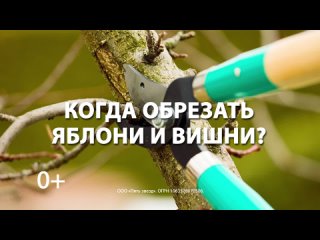 porn 24 марта лунный календарь для цветов и деревьев hd