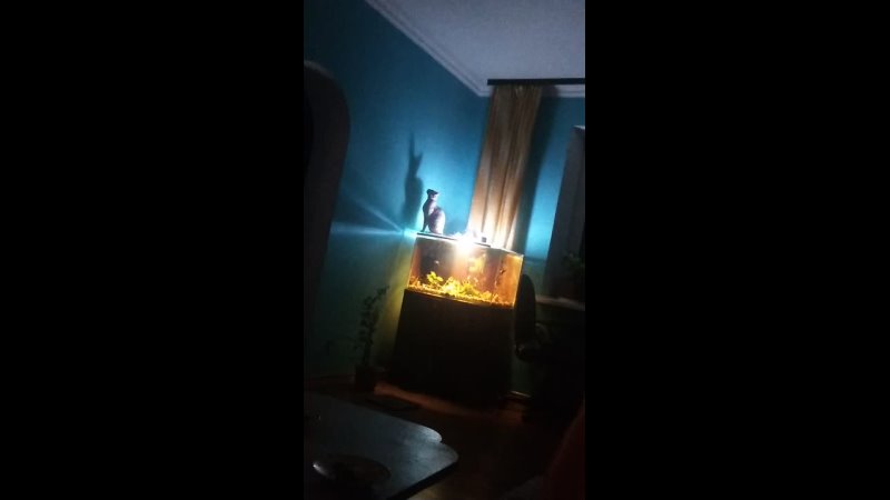 porn 锅盖头探探哥酒店约炮医科大护理系短发气质兼职妹服务不行就会躺着挨屌 vid 20210502 001213 mp4 hd