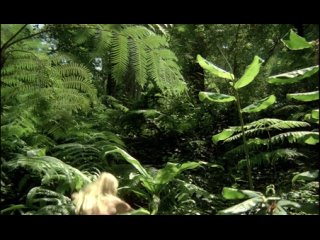 porn сексуальный каннибал дьявольский охотник el caníbal devil hunter hd