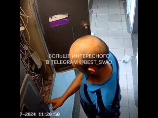 porn мужчина что то ищет в электрическом щитке на отрадной 11 hd
