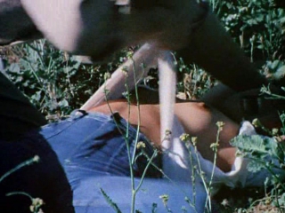 porn hitch hike to hell1977автостоп в ад бервик hd