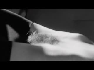 porn фернанда торрес чужая земля fernanda torres terra estrangeira 1996 hd