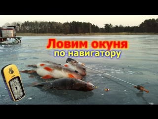 porn зимняя рыбалка ловим окуня по навигатору hd
