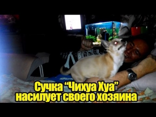porn сучка чихуа хуа молодые своего хозяина чехменка андрея hd