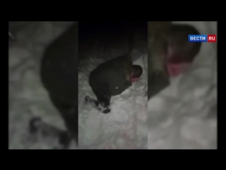 porn воронежские охотники за головами отрезали палец закладчику за воровство молодые hd