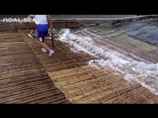 porn удивительная речная бамбуковая система ловушек для лова рыбы amazing river bamboo fish trap system to catch huge hd