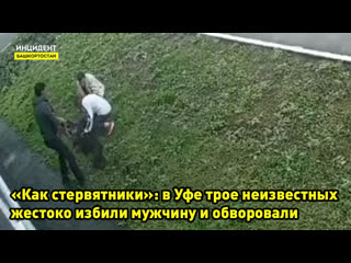 porn как стервятники в уфе трое неизвестных жестоко избили мужчину и обворовали hd