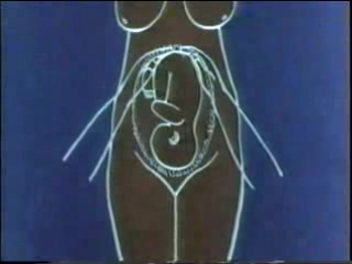 porn исследования беременной в третьем триместре беременность study pregnant 1458360821179 hd