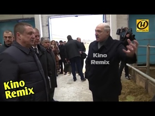 porn еле живая скотина или как лукашенко дрючит чиновников ржач до слез бать те нормально 3 0 смешные приколы 2019 hd