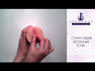 porn сексуальное образование как удовлетворить женщину академия сексуального образования hd