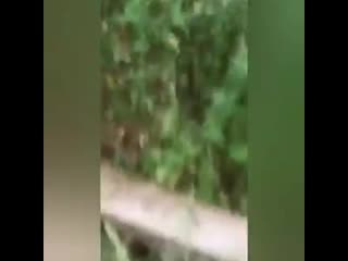 porn очевидцы сняли на видео как взрывной волной выбило все стёкла в доме комментарии огонь hd