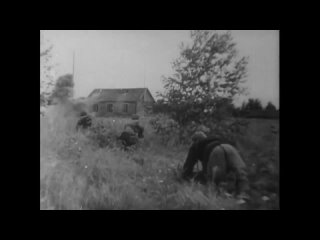 porn партизаны в годы великой отечественной войны архивная кинохроника hd