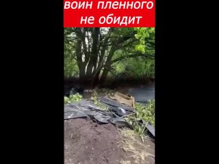porn тяжело смотреть когда знаешь что это не кино а жизнь только что разбит фланг увс hd