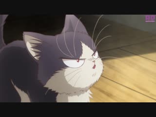 porn 1 серия домашний питомец иногда сидящий на моей голове doukyonin wa hiza tokidoki atama no ue amazing dubbing hd