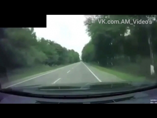 porn видео расстрела депутата чеченского парламента мухмада асхабова hd