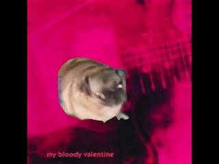 porn shoegaze pug just vibin hd