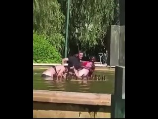 porn мужчина пытался утопить женщину в общественном фонтане hd