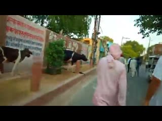 porn vrindavan parikrama on pandava ekadashi with srila bv vana maharaj hd