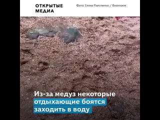porn медузы заполонили побережье азовского моря и вытеснили отдыхающих hd