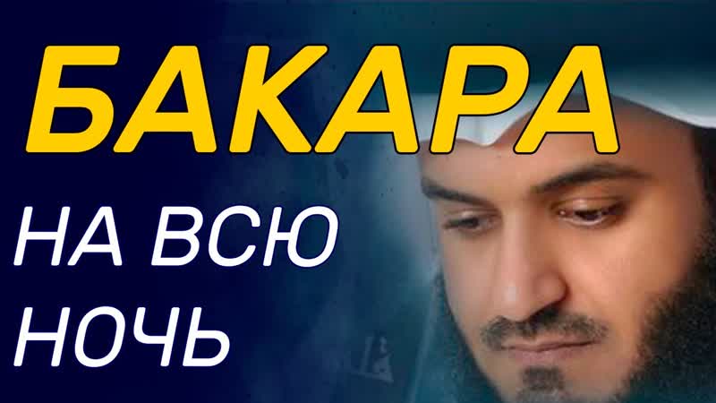 porn сура аль бакара на всю ночь очень красивое приятное чтение корана hd