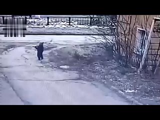 porn 18 депутат переехал маленького мальчика немного постоял возле него и скрылся hd