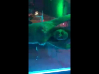 porn голенькая в клубе новенькая домашнее порно секс молодые porn 18 teen пикап hd