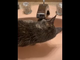 porn мои любитель поиграть с водичкои hd