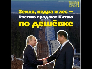 porn земля недра и лес россию продают китаю по дешёе hd
