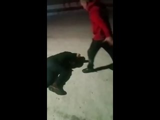 porn в омской области депутат едрос жестоко избил мужчину hd