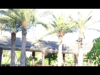 porn профессиональный квадрокоптер e88 для фотосъемки складной hd