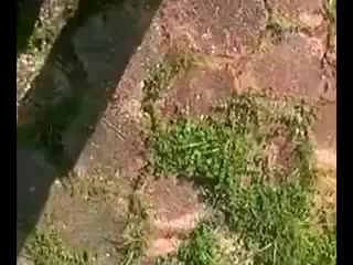 porn 逼毛浓密淫骚大波网红多多小树林演绎西游记勾引师父唐憎啪啪被三个徒弟轮番性报复 ngintip anak smp hd