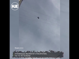 porn во владивостоке мужчина сорвался с проводов и упал hd