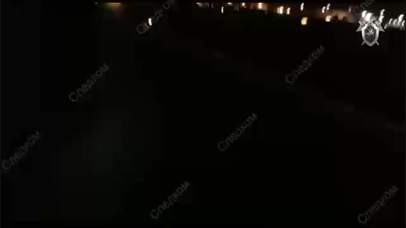 porn в аэропорту шереметьево человек погиб под шасси пассажирского самолёта hd
