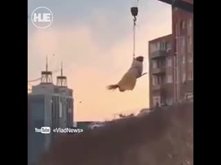porn жительница владивостока прокатилась на метле hd