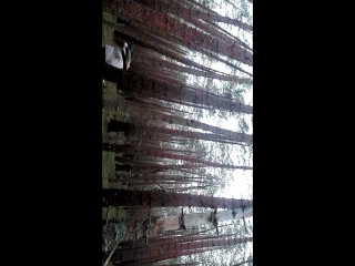 porn тренируемся развлекаемся и познаем природу на болоте hd