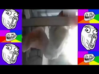 porn лесбиянки удовлетворяют себя анальными игрушками и вибратором hd