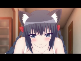 porn магическая академия атараксия гибрид x сердце спешлы masou gakuen hxh specials русская озвучка hd