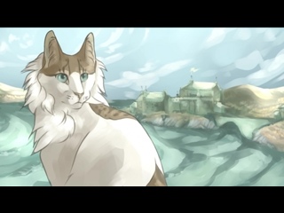 porn coh pmv hd