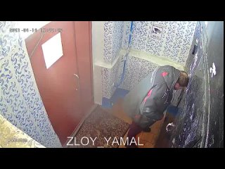 porn очередная свинья гадит в подъезде hd