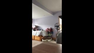 porn видео от приват голые девочки домашнее private соло hd