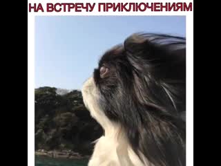 porn милая мордашка на встречу приключениям hd