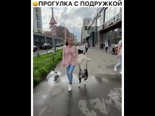 porn подружка обалденная красотки обе но мохнатенькая просто великолепна hd