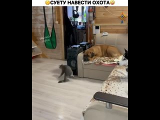 porn ахах и притворяется типо нормальный hd
