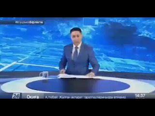 porn в казахстане рядом с границей рф задержали автомобиль с армянскими номерами hd