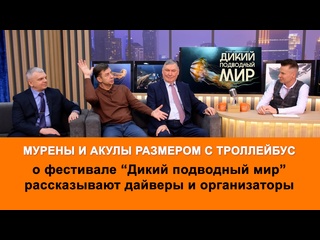 porn фестиваль дикий подводный мир начался в ярославле что там интересного hd