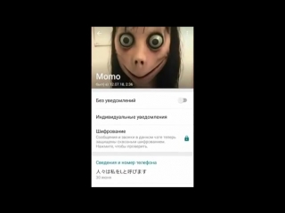 porn позвонил момо по whatsapp momo до слез страшная переписка и звонок hd