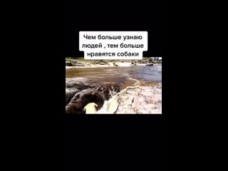 porn чем больше узнаю людей тем больше нравятся молодые mp4 hd