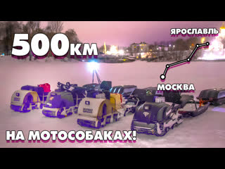 porn самая страшная поломка и конец экспедиции из москвы в ярославль 500км на мотособаках серия 5 новый выпуск hd