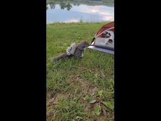 porn отдыхали себе спокойно на природе а к нам белочка пришла hd
