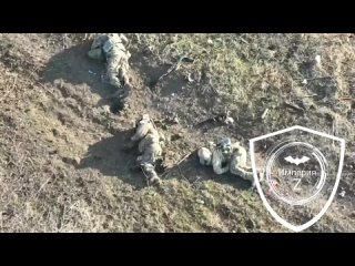 porn удар fpv дроном по группе всушников которые пытались вытянуть своего там же на позициях остались и некоторые другие hd